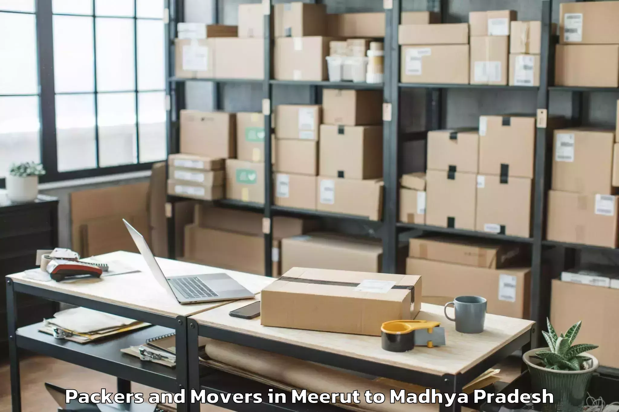 Hassle-Free Meerut to Rajmata Vijayaraje Scindia Kri Packers And Movers